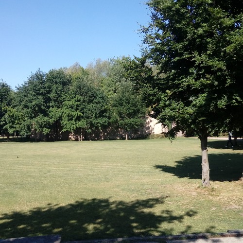 Tracks of the Month - February 2018