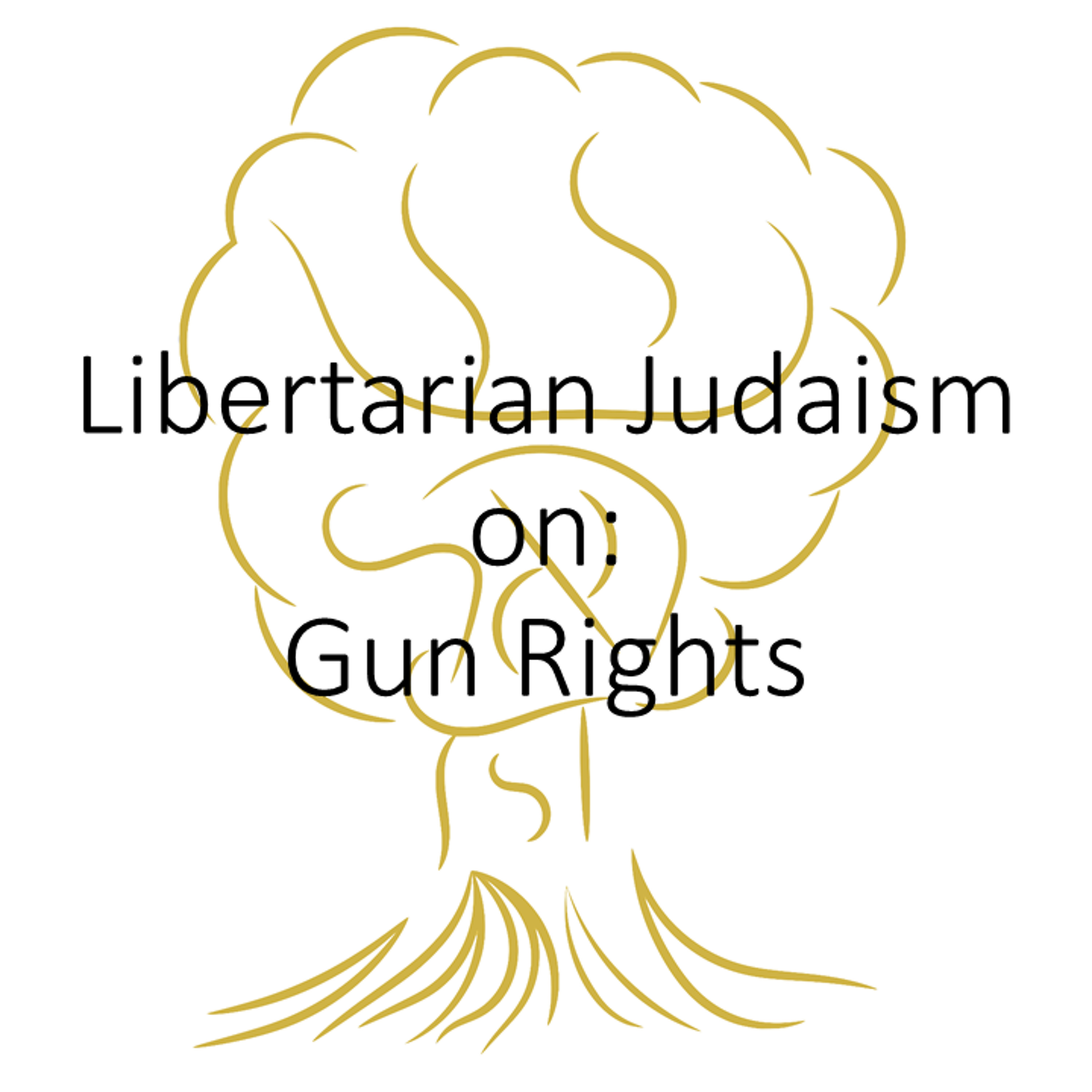 Gun Rights