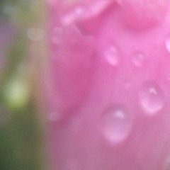 The Potential Song 4000 (that's how It goes though; that is all, that is all)