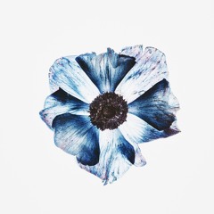 Plumb - Don't Deserve You (HORIZN Remix)