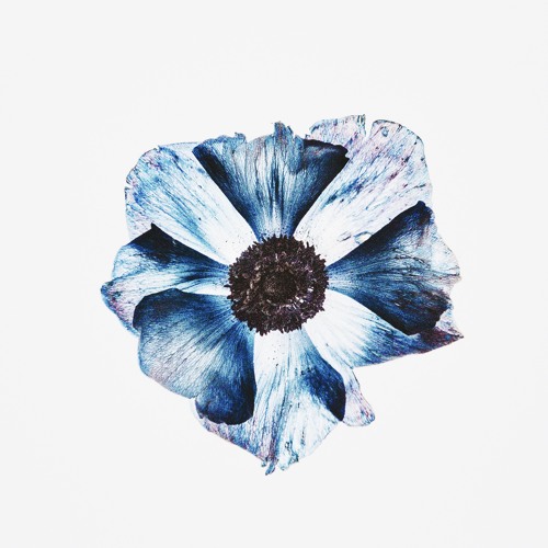 Plumb - Don't Deserve You (HORIZN Remix)