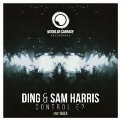 Ding & Sam Harris - Dive In