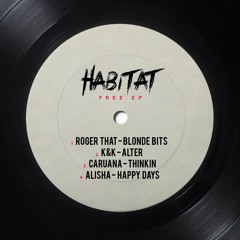 RogerThat - Blondie Bits