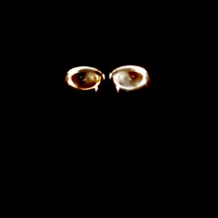 beginning (Exp_454119)