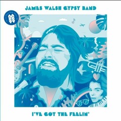 James Walsh Gypsy Band - I've Got The Feelin'  (Aure Zwins Rework)