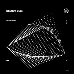 B1 Cyspe - Earwitness [ Rhythm Büro 003 ]