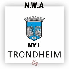 Ny i Trondheim by