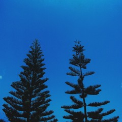 Make Me Fall - Nina Nesbitt nyenye