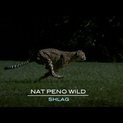 Nat Peno Wild | Shlag