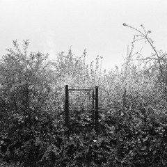 Hidden Gate [Original Mix]
