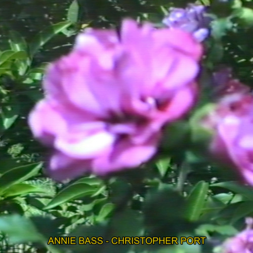 Annie Bass & Christopher Port — Counting All