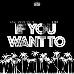 If You Want To- Josh Wawa X ZEEKUC