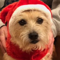 Where my keys at freestyle