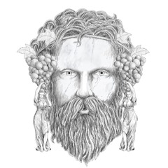 Jungle Fire - Firewalker (Bachvs Remix)