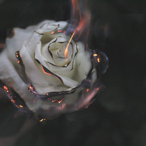 Download Foxa Ft. Stephen - Survive (Future Bass Premiere)