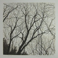 Shifting (Original Mix)