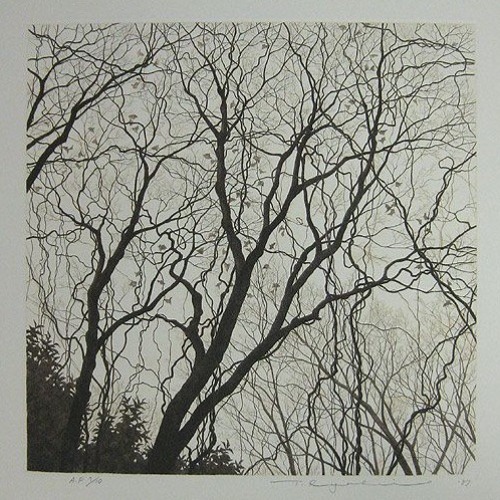 Shifting (Original Mix)