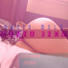 David Meli - Wanna Know BoyPanda Remix