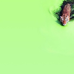 Snoop says PLS&TY (Run Wild x Gd Up)