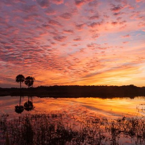 Stream Kiss The Sky by Djoko Beats Listen online for free on SoundCloud