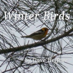 Winter Birds (feat. Alice Weiler - vocals, Margaret Abbott - violin, Jan Heffner - backup vocals)