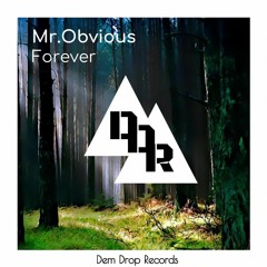 Mr.Obvious - Forever