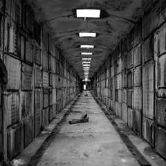 Shock Corridor - FEBRUARY 2018 \\ Coldwave/PostPunk/MinimalSynth/Synthpop/Darkwave