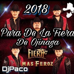 Puras De La Fiera De Ojinaga 2018 Mix