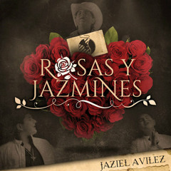 Rosas y Jazmines