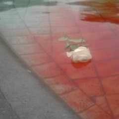 dream suite interlude