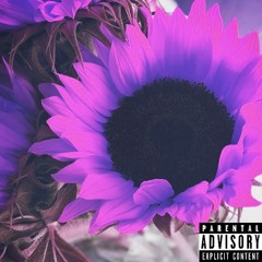 Rosa(Prod. Xavier Cloud)