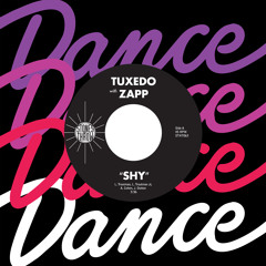Shy (Feat. Zapp)