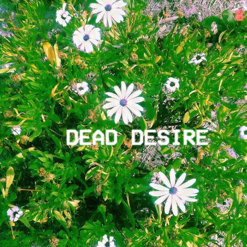 Stream Lose All The Time by Cherry Ripe | Listen online for free on ...