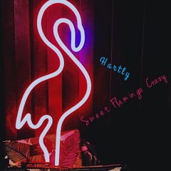 Sweet Flamingo Crazy