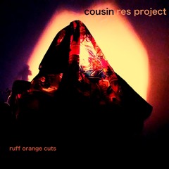 cousin res project- 1 4 mulatu