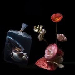The Synthetic Glasshouse