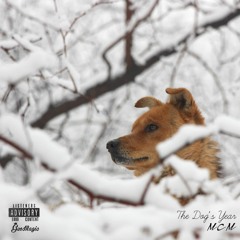MCM Geomagic - The Dog’s Year (Original Afro House)