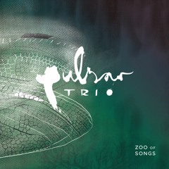 PULSAR TRIO - SLOW DOWN TRUDE