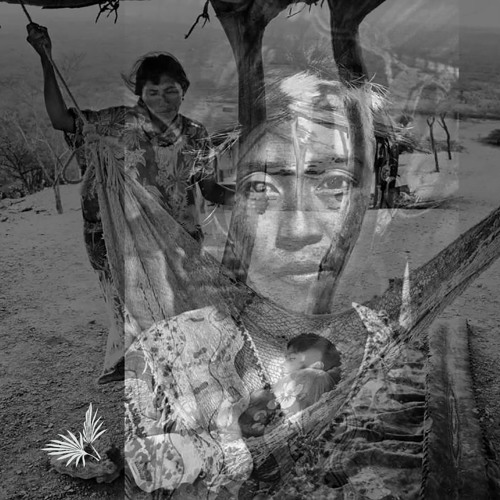 AIWAA - Wayuu