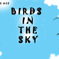 Birds In The Sky