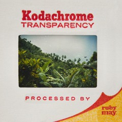 02. Biddies On Ice