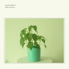 Alex Bayly - New America