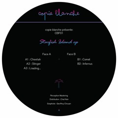 Premiere: Louis Dauvergne - Cheetah [Copie Blanche]