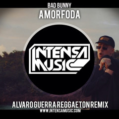 Bad Bunny - Amorfoda (Alvaro Guerra Remix)