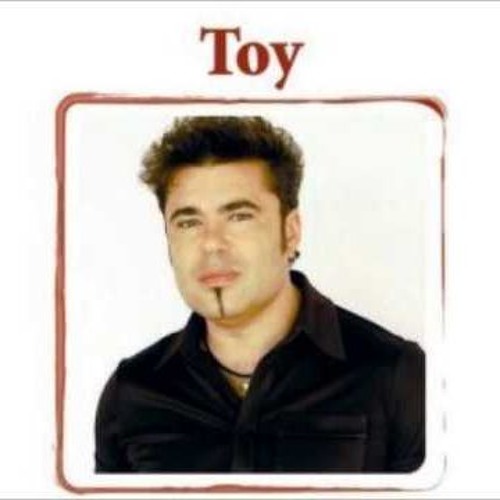 Viraltek - Toy in tek