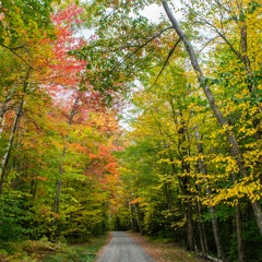 (MAPLE Ethos #6) Changing the mind on which our civilization is based