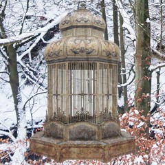 Dream Cages