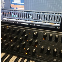 Moog Subsequent 37 Single session