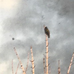 Carpooling with James Dean Through the Tunnel of Love