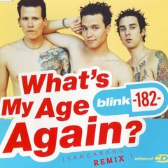 Blink 182 - What's My Age Again (Sangarang Remix)